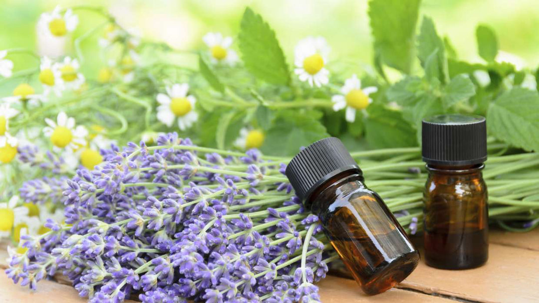 Grow your own aromatherapy!