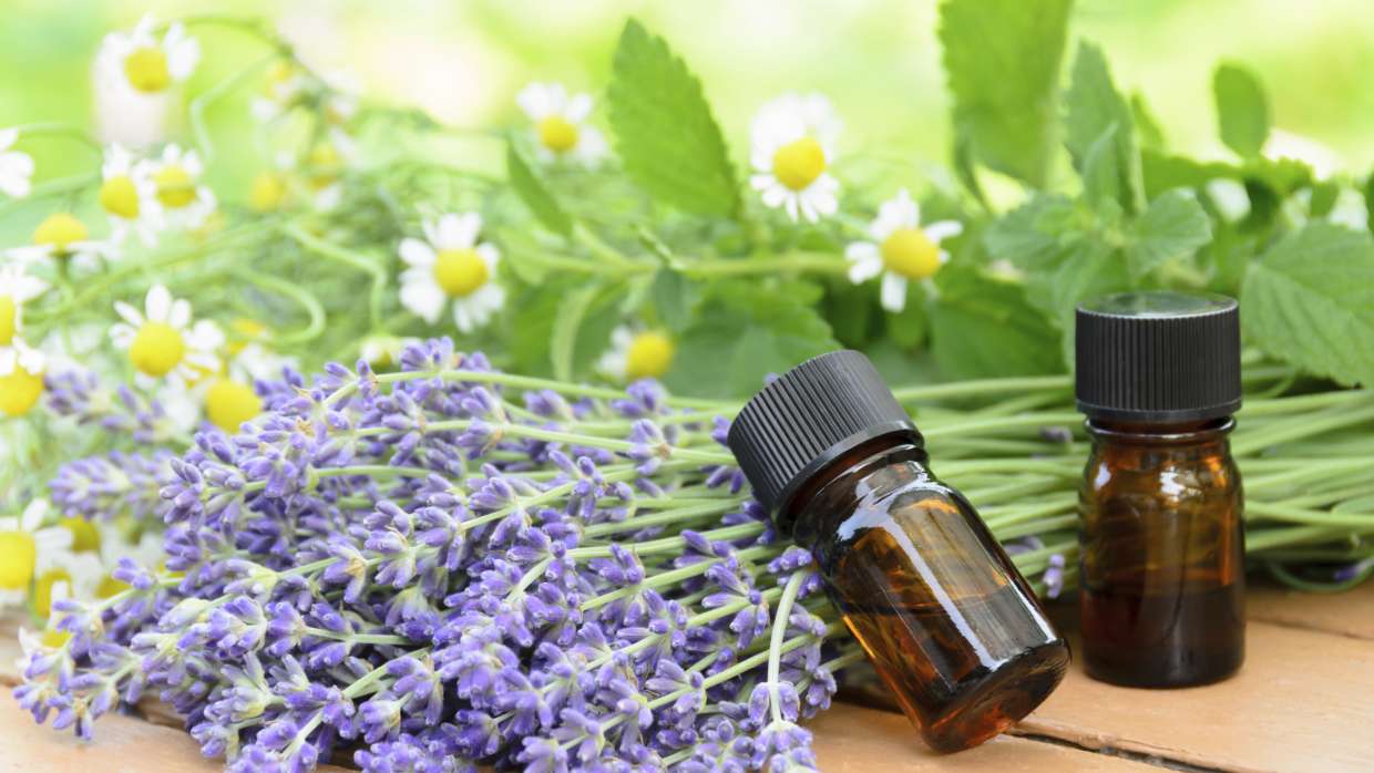 Grow your own aromatherapy!