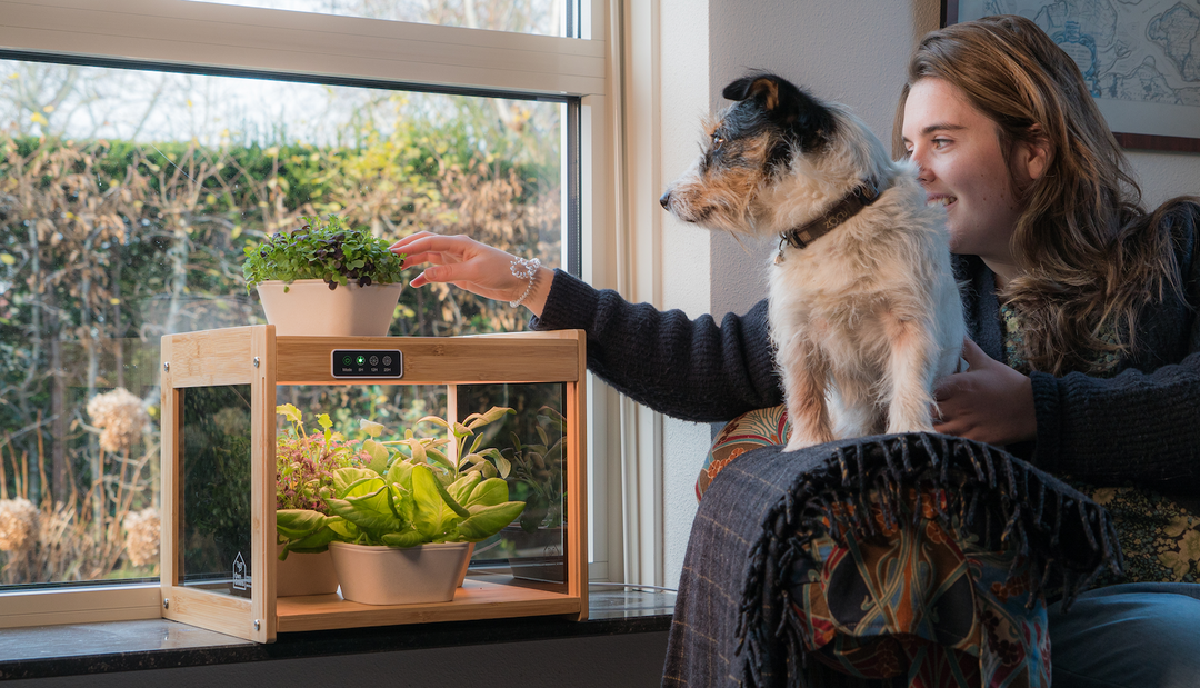 PlantHome: a long-term solution