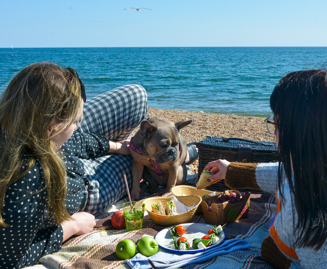 Time for a picnic!