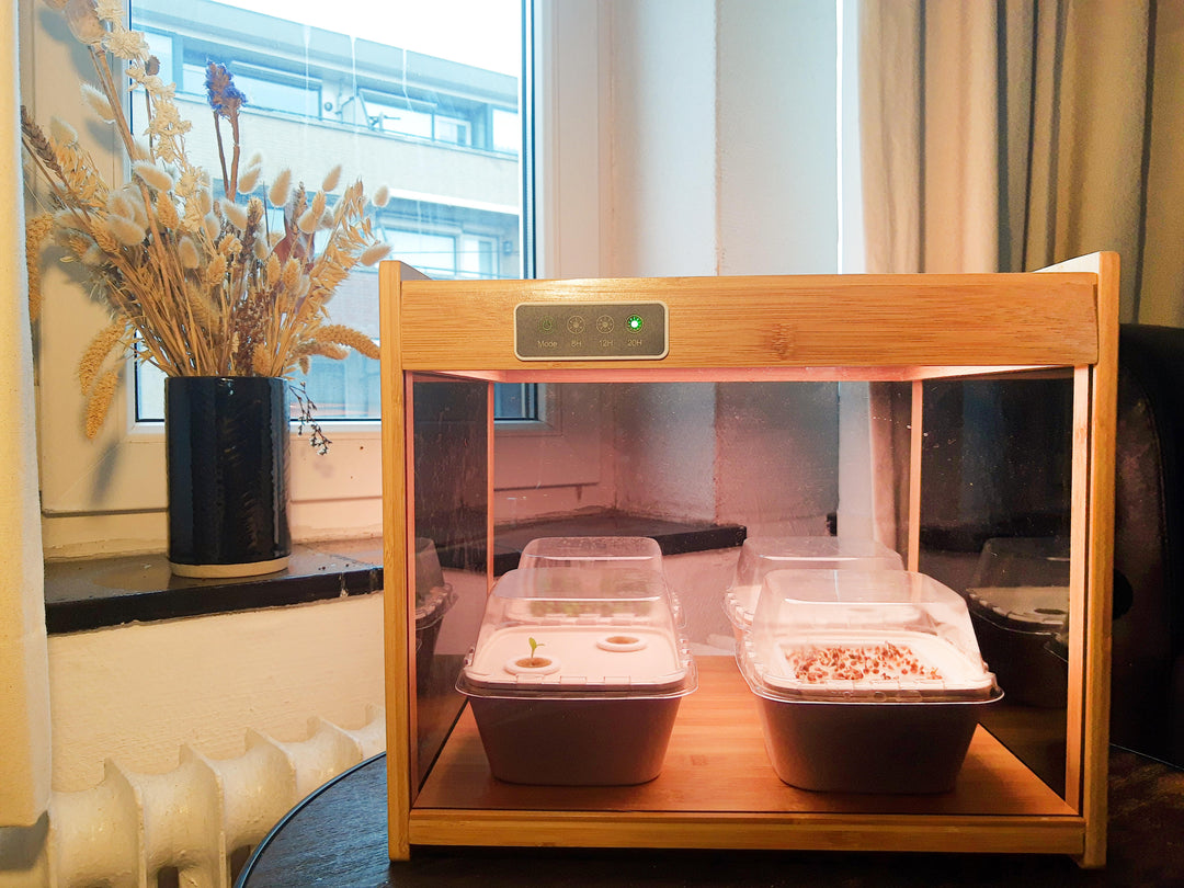Is it impossible to have a vegetable garden in a small apartment? Absolutely not!