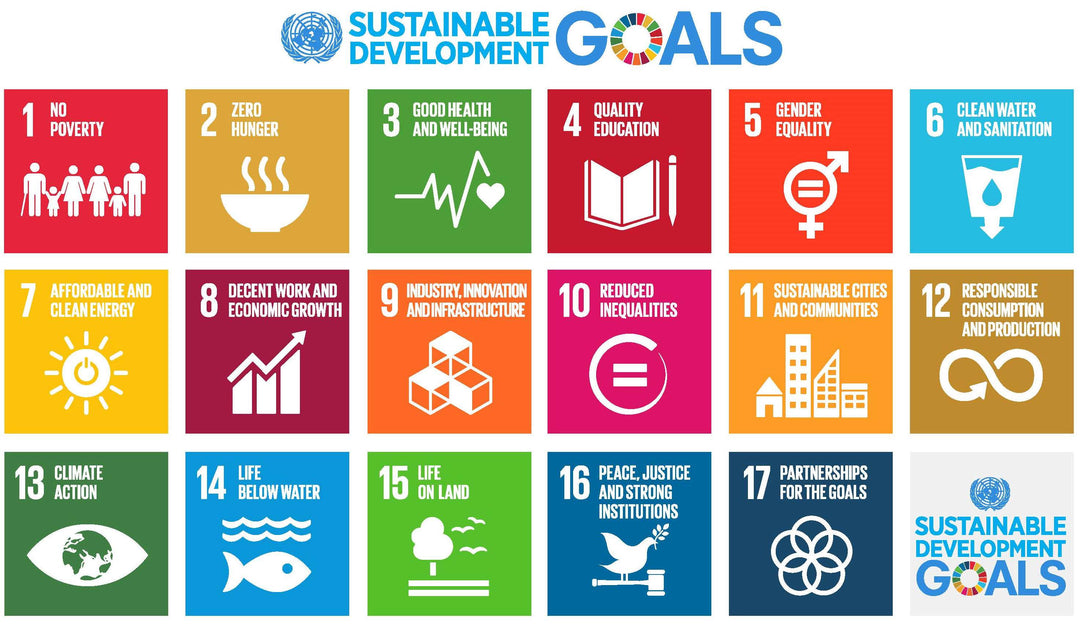 PlantHome: contribute to the sustainability goals