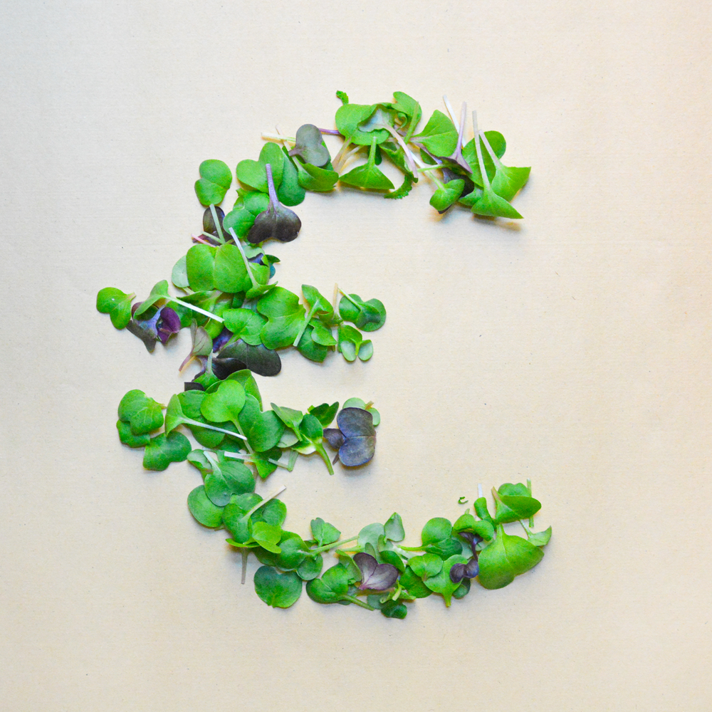 PlantHome: up to three times cheaper than herbs from the supermarket!