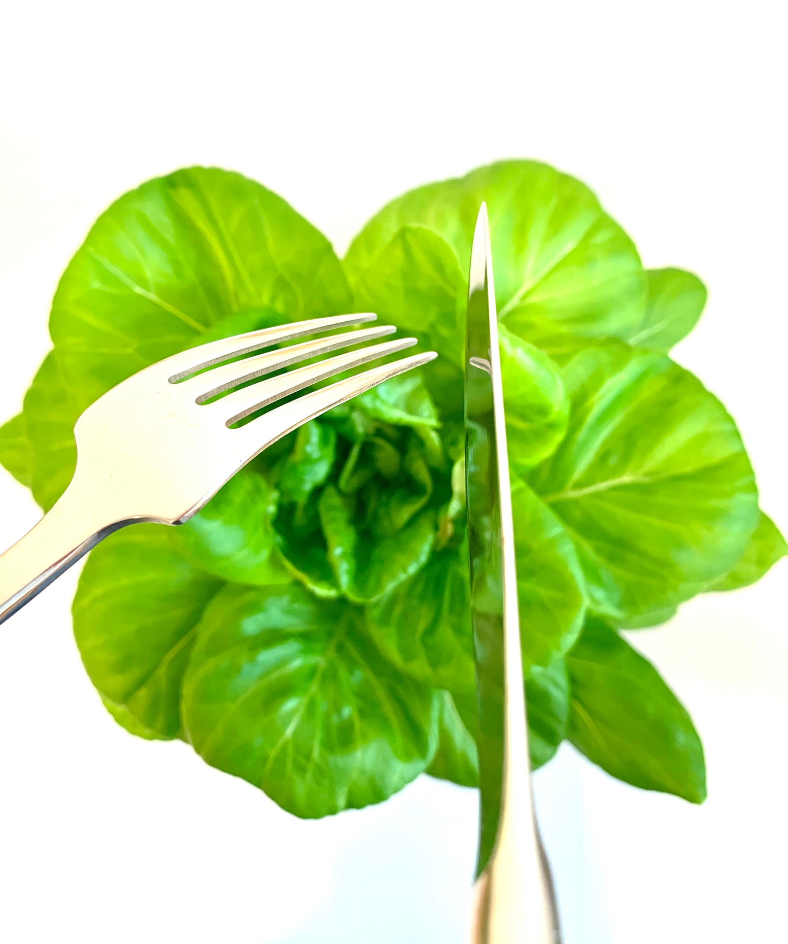 Grow and consume in the same place