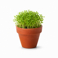 Tuinkers 6-pack
