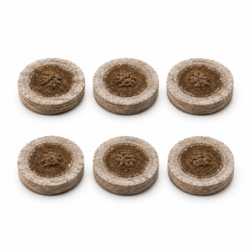Dille 6-pack