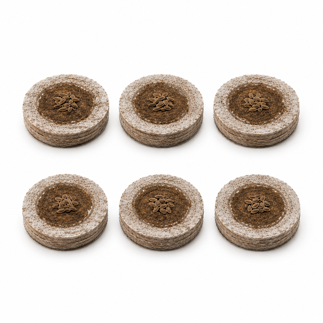 Dille 6-pack