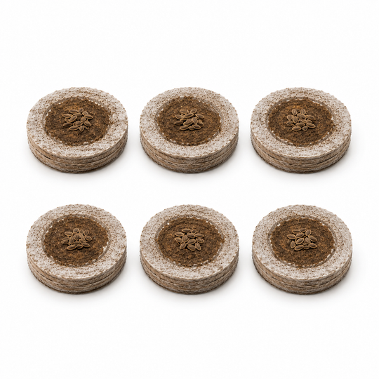 Dille 6-pack