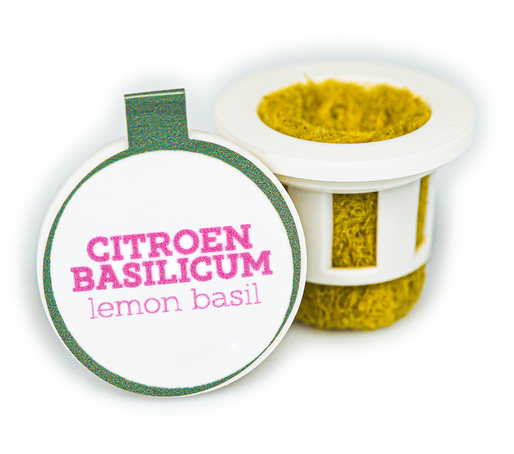 Citroen Basilicum Plant Cups Pads